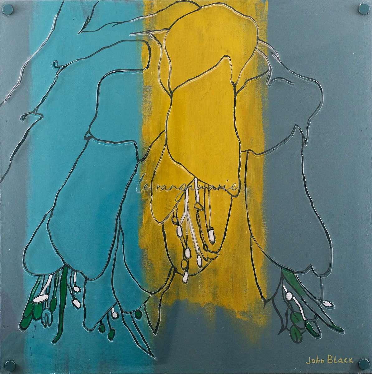 Sophora