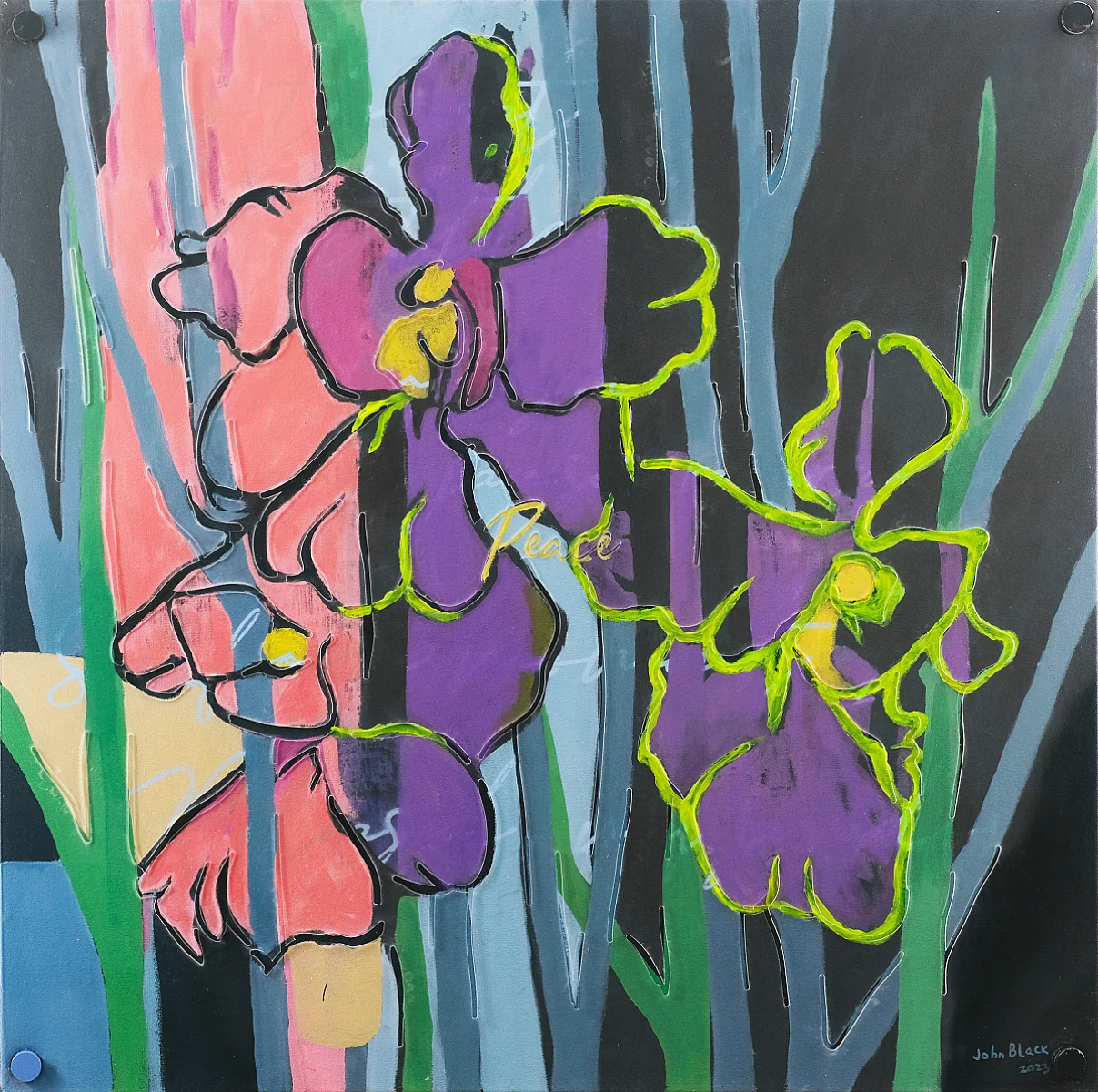 Orchidaceae