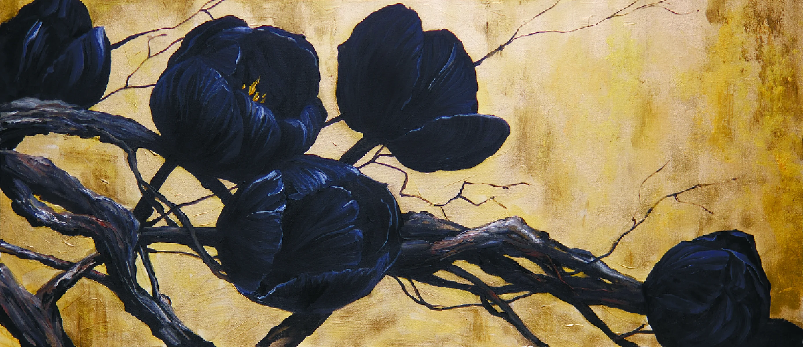 Timeless - Black Tulips