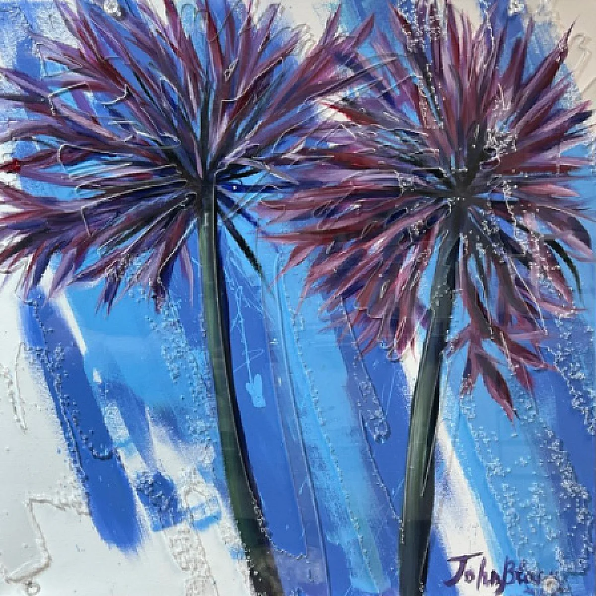 Dual Symmetry " The Geometry of Bloom"