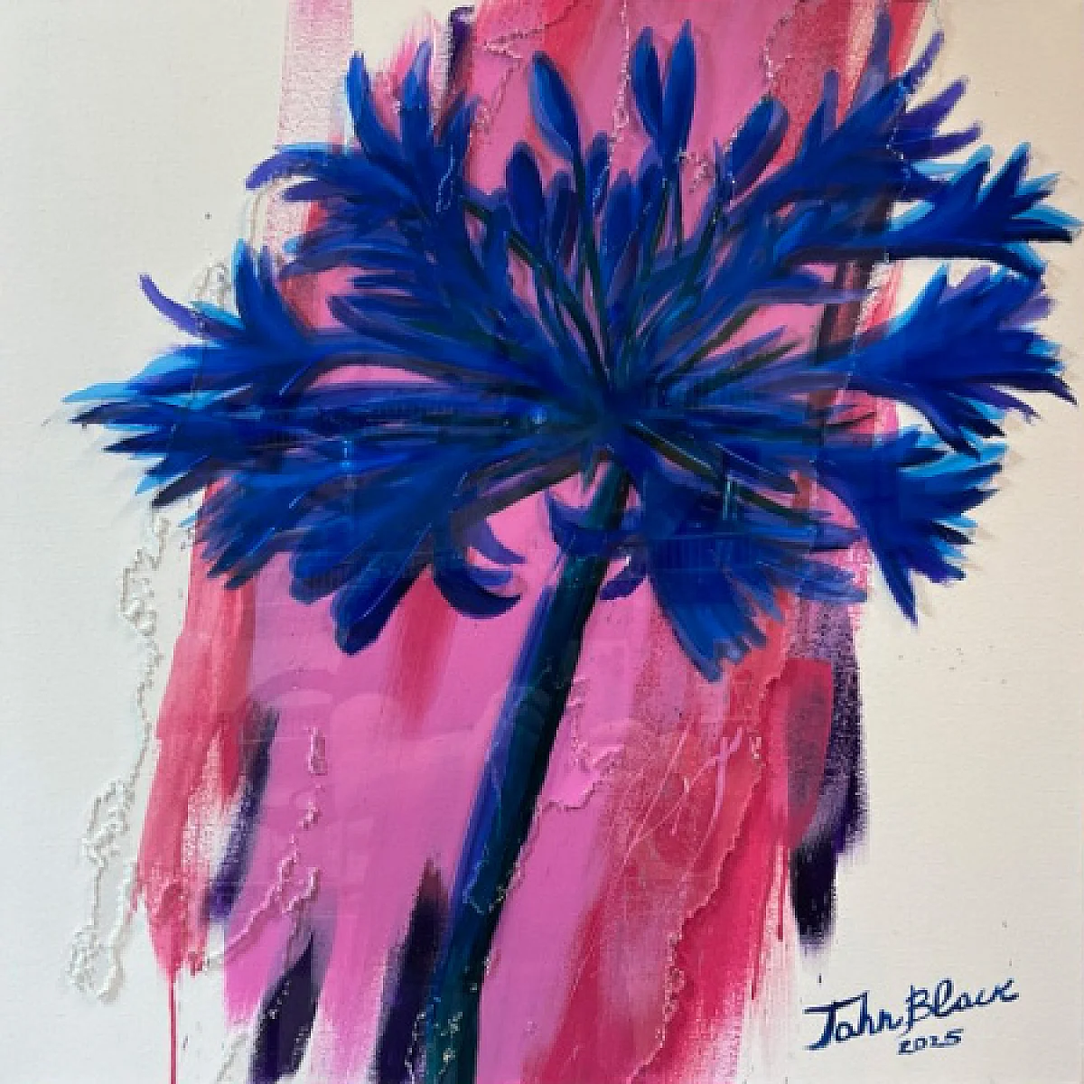 Blue on Pink" THE GEOMETRY OF BLOOM