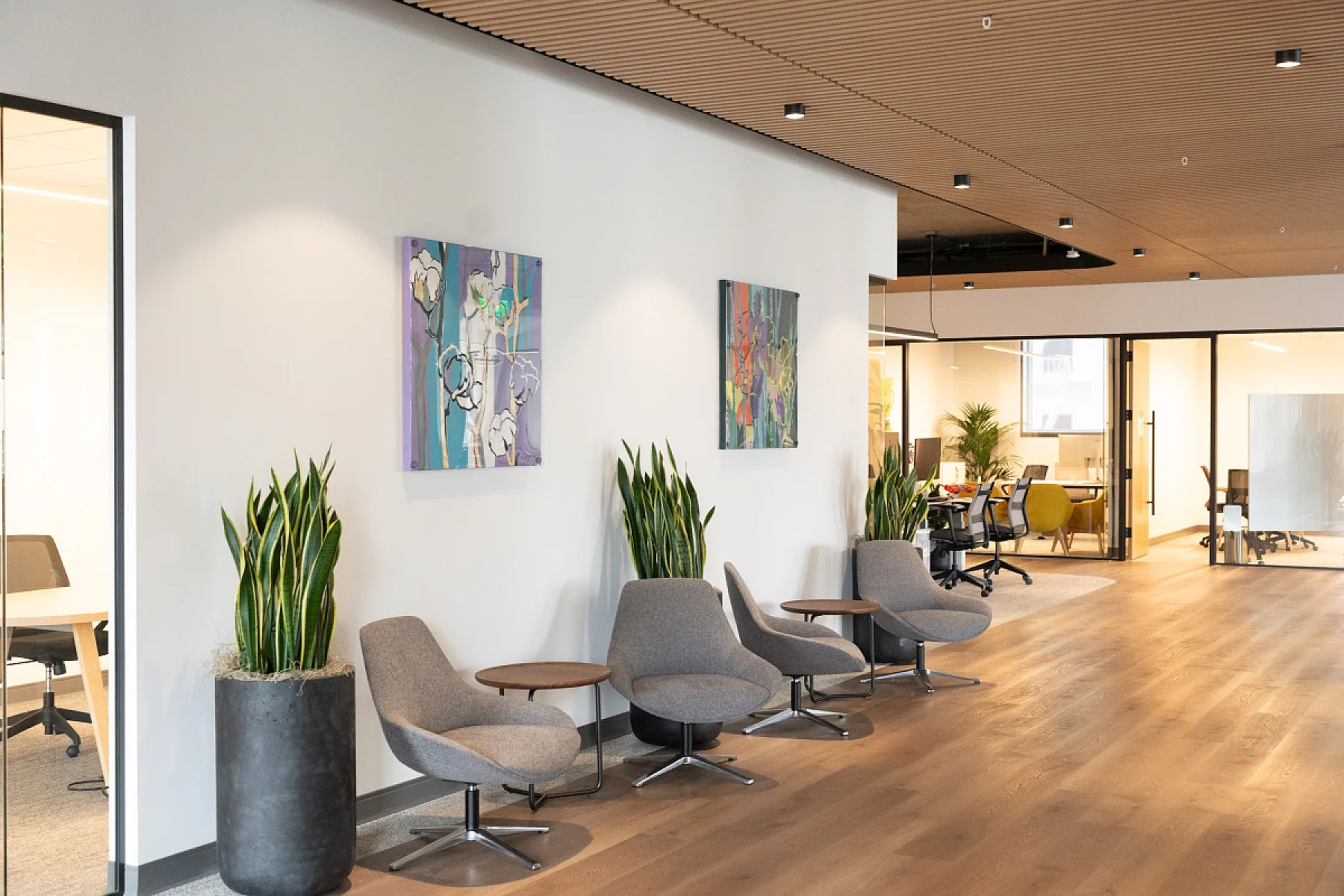 COTTON AND ORCHIDACEAE