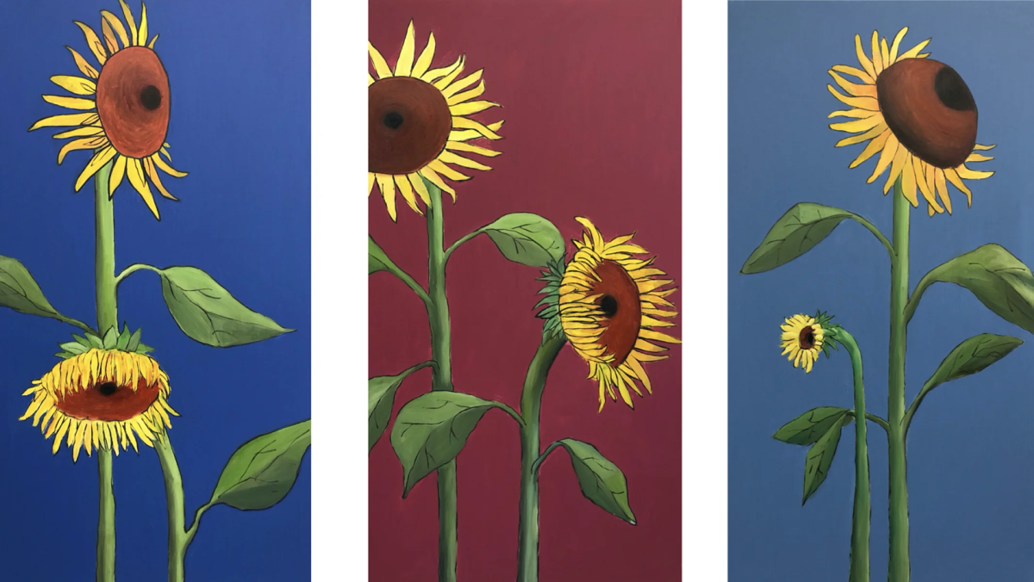 Sunflowers